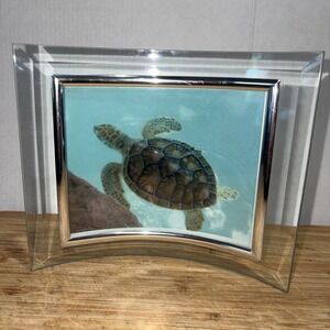 Sea Turtle Print In Curved Glass Frame